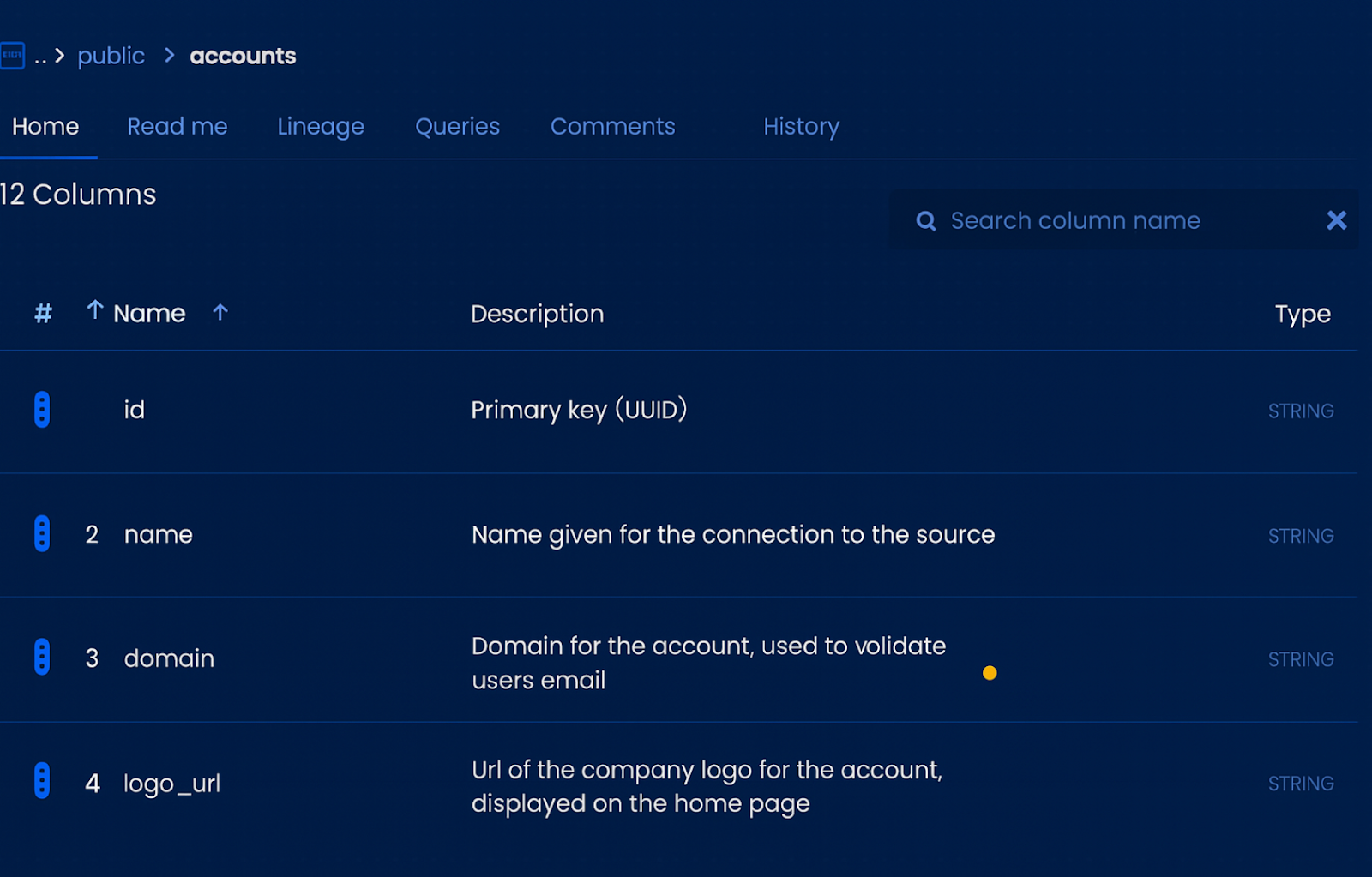 Screenshot of a data catalog table view showing account schema details with columns such as id, name, domain, and logo_url, along with descriptions and data types.